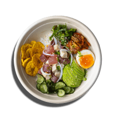 pokee-terra-e-mar (1)